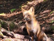 Isle Royale National Park