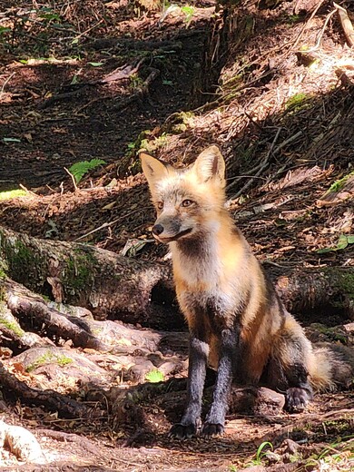 Isle Royale National Park