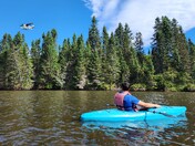 Isle Royale National Park