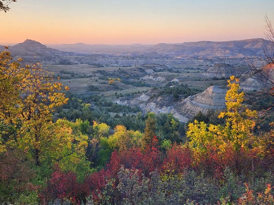 Theodore Roosevelt National Park