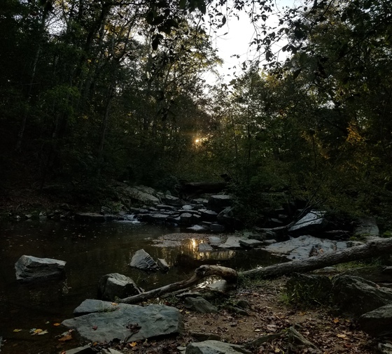 Prince William Forest Park