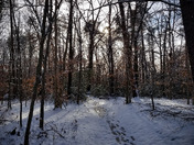 Prince William Forest Park