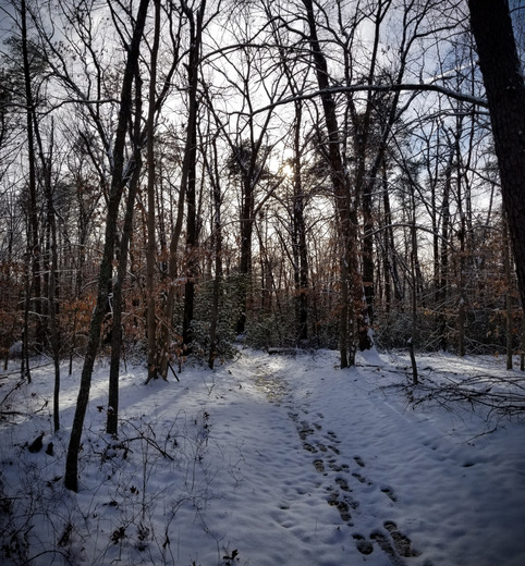 Prince William Forest Park