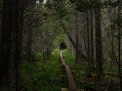 Isle Royale National Park