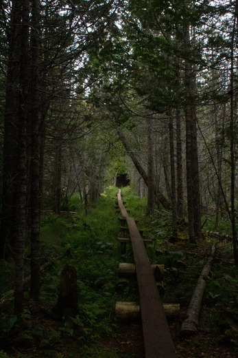 Isle Royale National Park