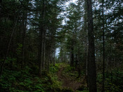Isle Royale National Park