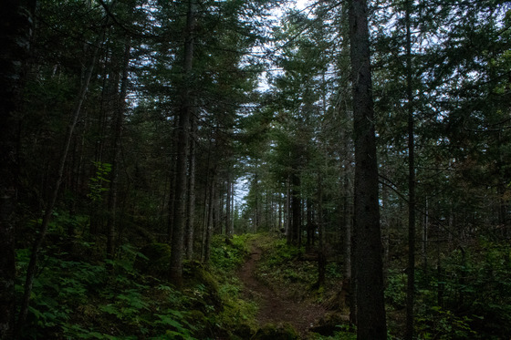 Isle Royale National Park