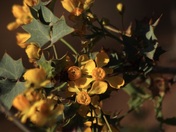 Arches National Park