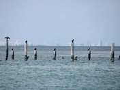 Biscayne National Park