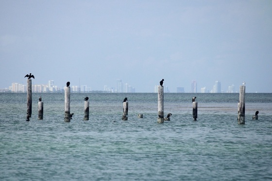Biscayne National Park