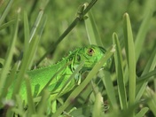 Biscayne National Park