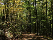 Shenandoah National Park