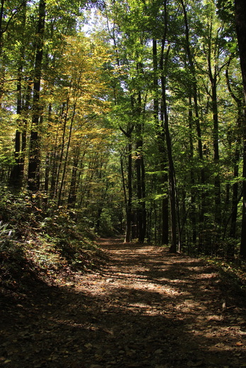 Shenandoah National Park