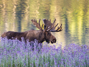 Rocky Mountain National Park