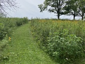 Herbert Hoover National Historic Site