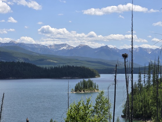 Flathead National Forest 