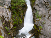 Mount Rainier National Park