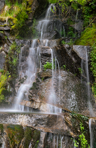 Mount Rainier National Park