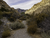 Red Rock Canyon National Conservation Area