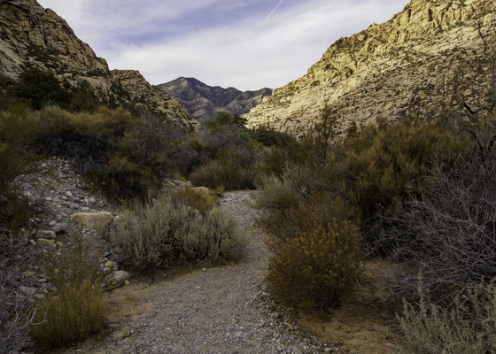 Red Rock Canyon National Conservation Area