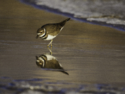 Death Valley National Park