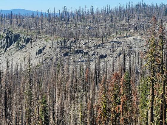 Lassen Volcanic National Park