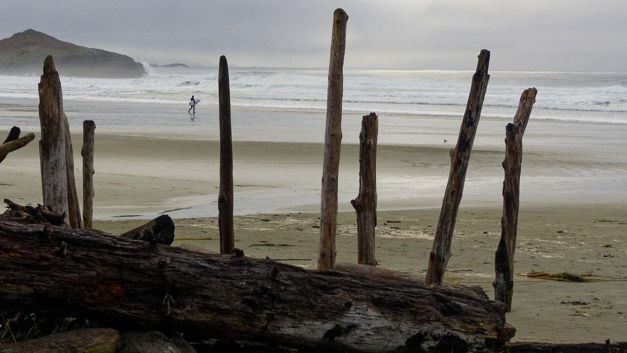 Long Beach Surfer