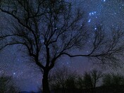 Big Bend National Park