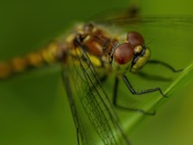 Ready For My Closeup