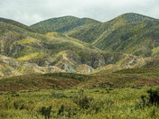 Carrizo Plain National Monument