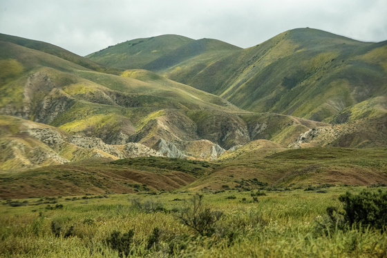 Carrizo Plain National Monument