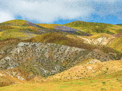 Carrizo Plain National Monument