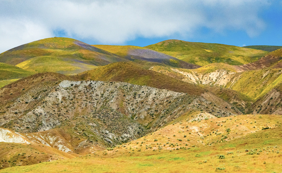 Carrizo Plain National Monument