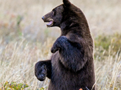 Glacier National Park