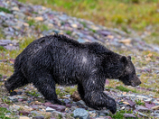 Glacier National Park