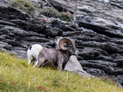 Glacier National Park