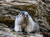 Glacier National Park