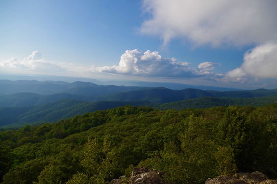 Shenandoah National Park