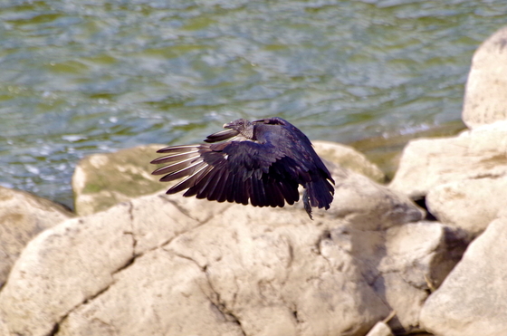 Chesapeake & Ohio Canal National Historical Park (MD)