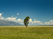 Grand Teton National Park