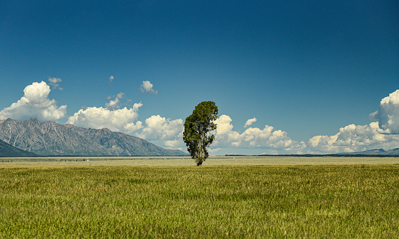 Grand Teton National Park