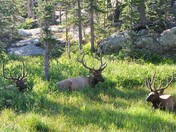 Rocky Mountain National Park