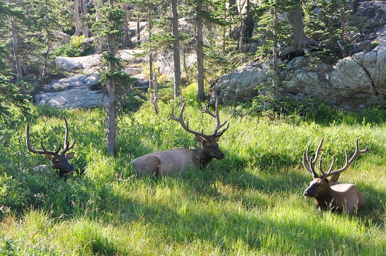 Rocky Mountain National Park