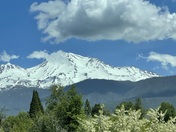 Mount Shasta