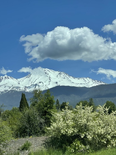 Mount Shasta