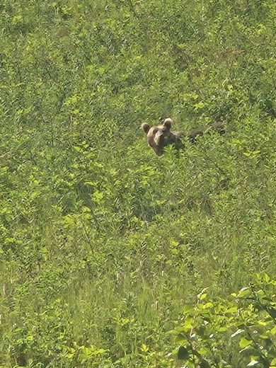 Kodiak National Wildlife Refuge