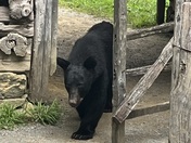 Great Smoky Mountains National Park
