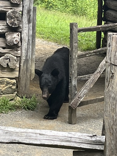 Great Smoky Mountains National Park