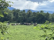 Great Smoky Mountains National Park