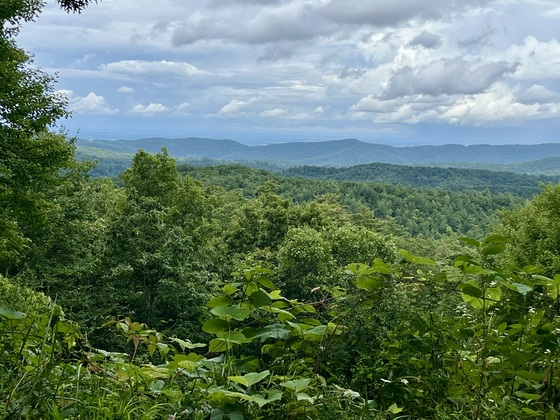 Great Smoky Mountains National Park